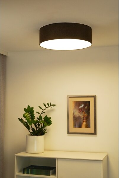 Duolla - LED Stropné svietidlo CORTINA LED/26W/230V pr. 45 cm 4000K hnedá