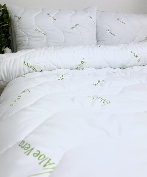 INTERMEDIC SK Set paplón 140x200 + vankúš 70x90 Aloe Vera Green