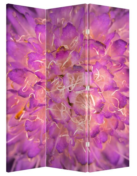 Paraván - Detail kvetu (126x170 cm)