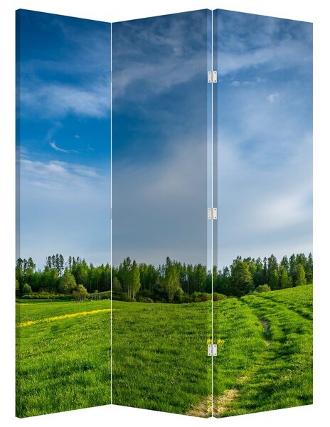 Paraván - Lúka (126x170 cm)