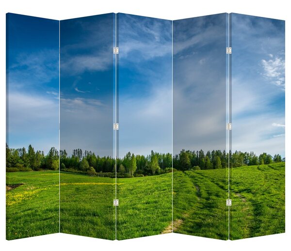 Paraván - Lúka (210x170 cm)