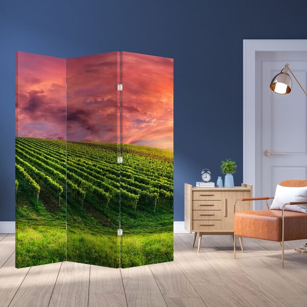 Paraván - Vinohrad s farebným nebom (126x170 cm)