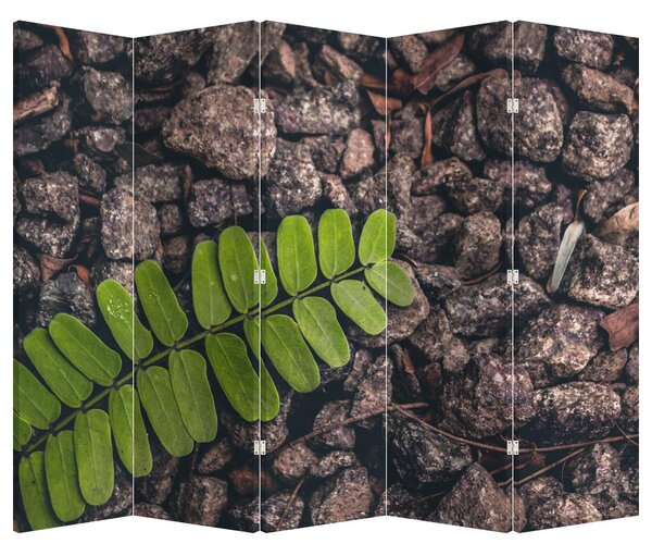 Paraván - Zelená rastlina (210x170 cm)