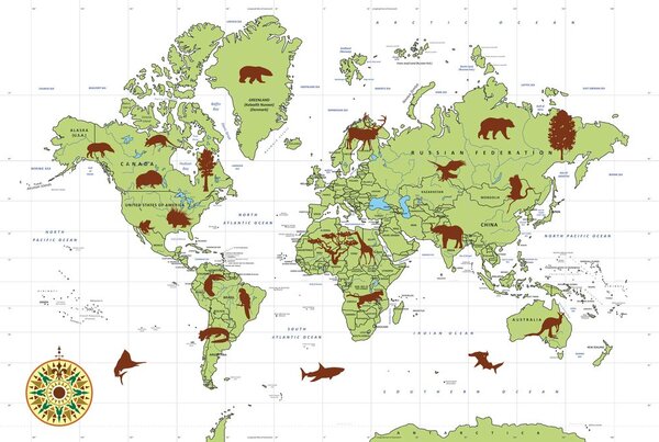 Obraz na korku mapa so zvieratami
