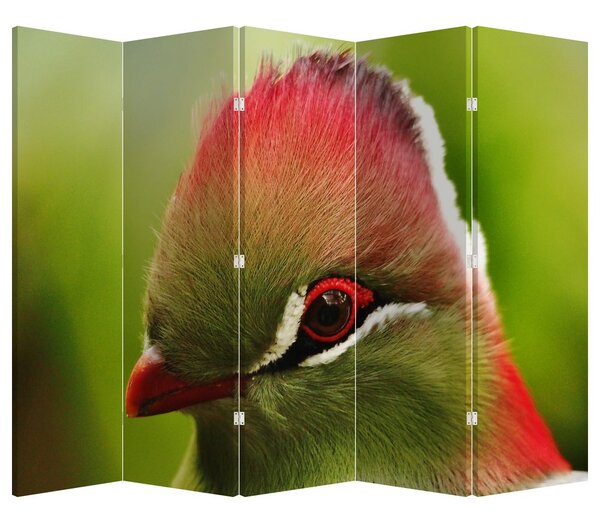 Paraván - Farebný vták (210x170 cm)