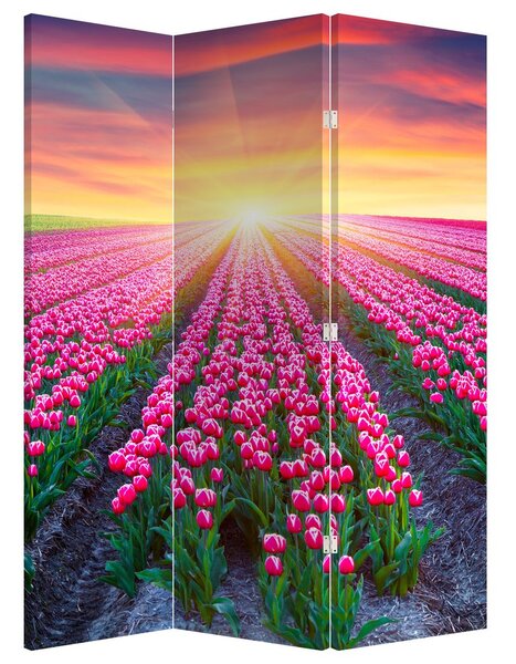 Paraván - Pole tulipánov so slnkom (126x170 cm)