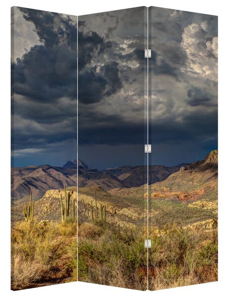 Paraván - Kaktusy v prírode (126x170 cm)