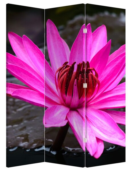 Paraván - Ružový kvet (126x170 cm)