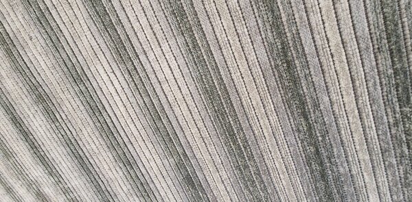 HU Sivý pruhovaný koberec Saloon Grey Rozmer: 50x80 cm