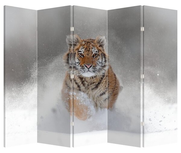 Paraván - Bežiaci tiger v snehu (210x170 cm)
