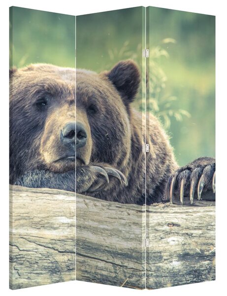 Paraván - Medveď (126x170 cm)