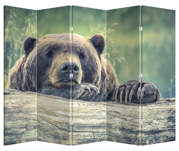 Paraván - Medveď (210x170 cm)