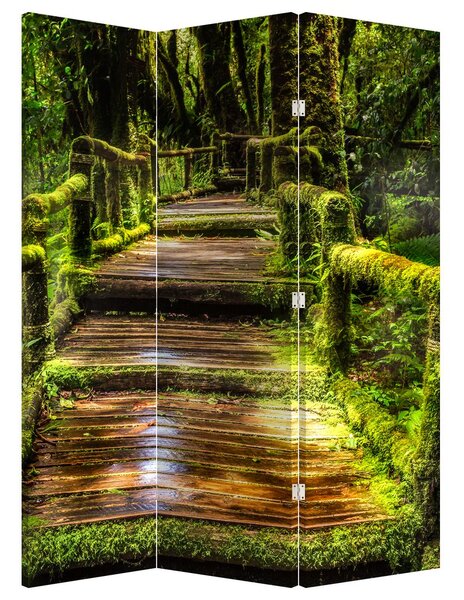 Paraván - Schody v dažďovom pralese (126x170 cm)