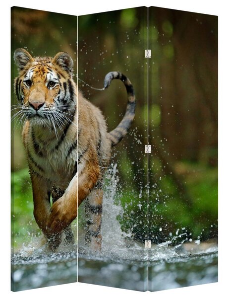 Paraván - Bežiaci tiger (126x170 cm)