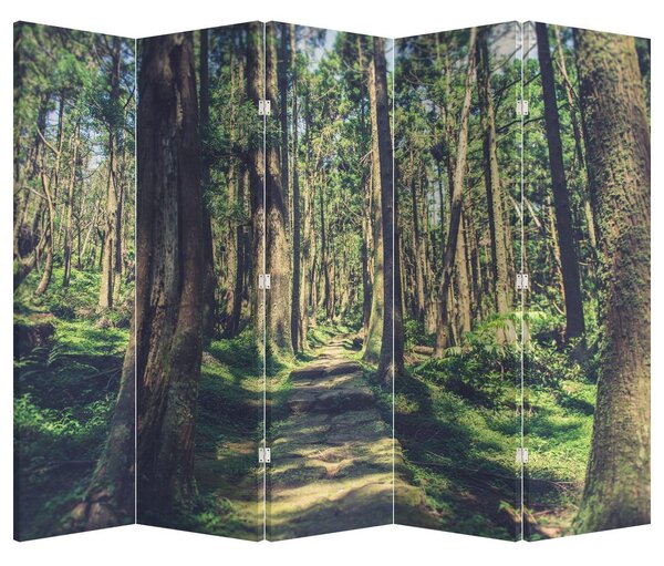 Paraván - Cesta medzi stromami (210x170 cm)