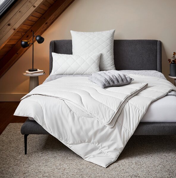 CELOROČNÁ PRIKRÝVKA, 135/200 cm, polyester, lyocel, kapok Sleeptex - Prikrývky & vankúše, Online Only