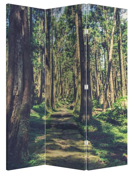 Paraván - Cesta medzi stromami (126x170 cm)