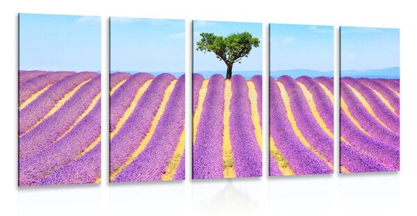 5-dielny obraz provensálske levanduľové pole