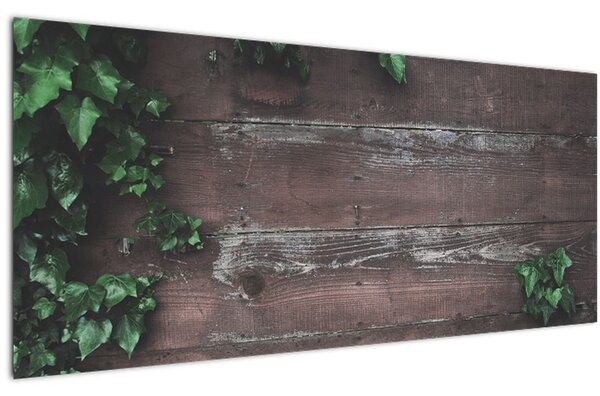 Obraz - Brečtan (120x50 cm)