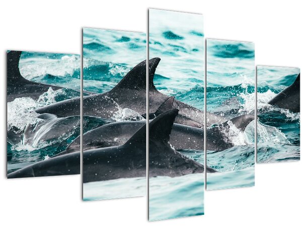 Obraz - Delfíny v oceáne (150x105 cm)