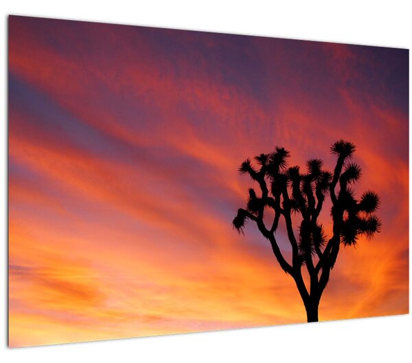 Obraz západu slnka nad siluetou stromu (90x60 cm)