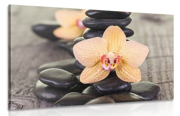 Obraz žltá orchidea a Zen kamene