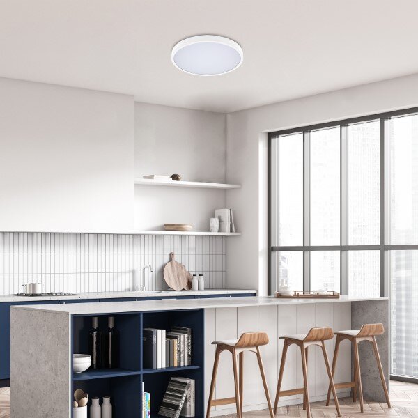 RABALUX 71430 Alenzo stropné svietidlo D420mm LED 36W/2450lm 3000-6000K IP44 biela, stmievateľné, diaľkový ovládač
