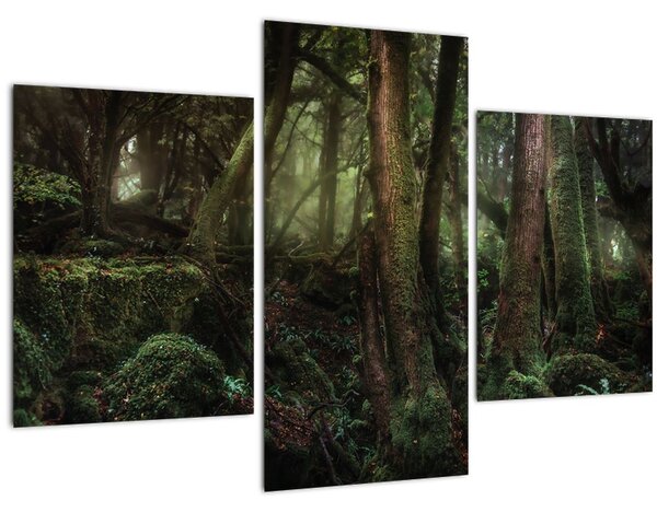 Obraz - Tajomný les (90x60 cm)