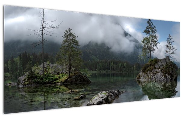 Obraz stromov v jazere (120x50 cm)