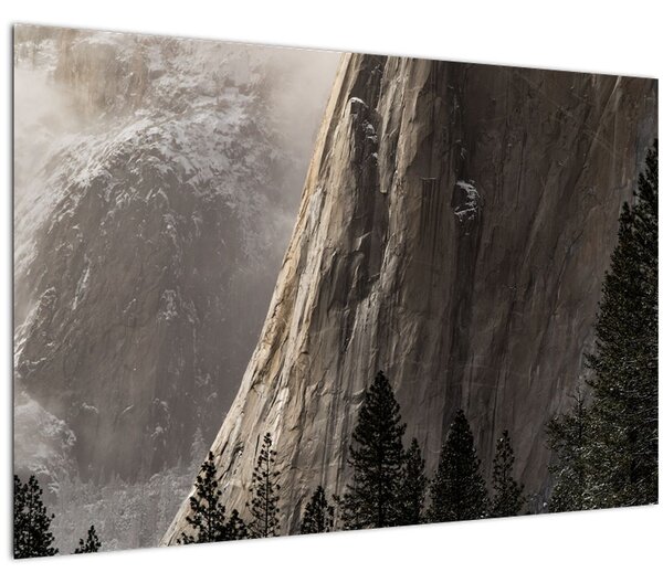 Obraz z údolia Yosemite národnej parku, USA (90x60 cm)
