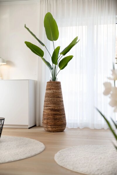 Izbový kvetináč ROTA, vodní hyacint, průměr 46 cm, natur