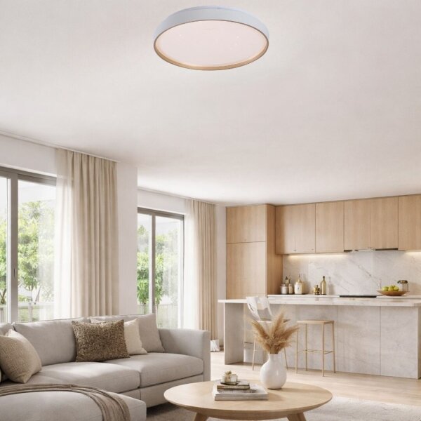 Rabalux 71454 - Stmievateľné LED stropné svietidlo ZERAVA LED/80W/230V 3000-6500K priemer 77 cm + diaľkové ovládanie