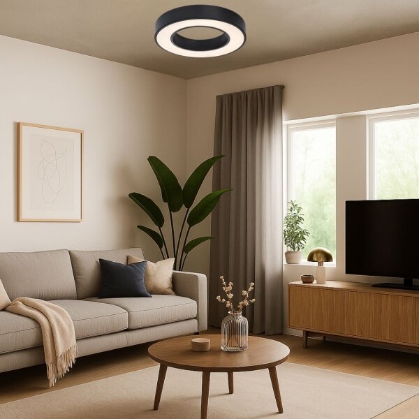 Rabalux 71360 - LED stropné svietidlo CIRANO LED/24W/230V 3000/4000/6500K pr.40cm čierna