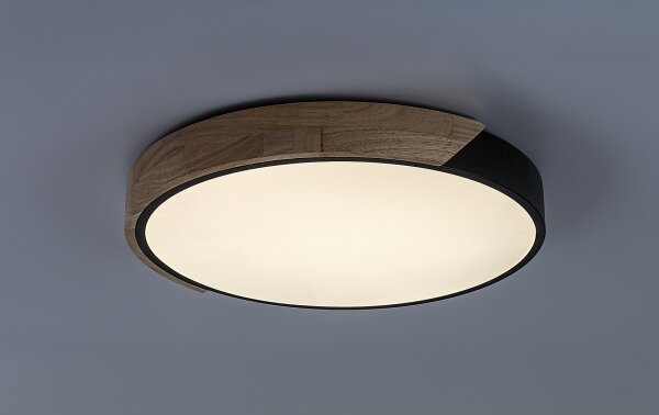Rabalux 71416 - LED Stropné svietidlo MAPLE2 LED/24W/230V 4000K priemer 41 cm
