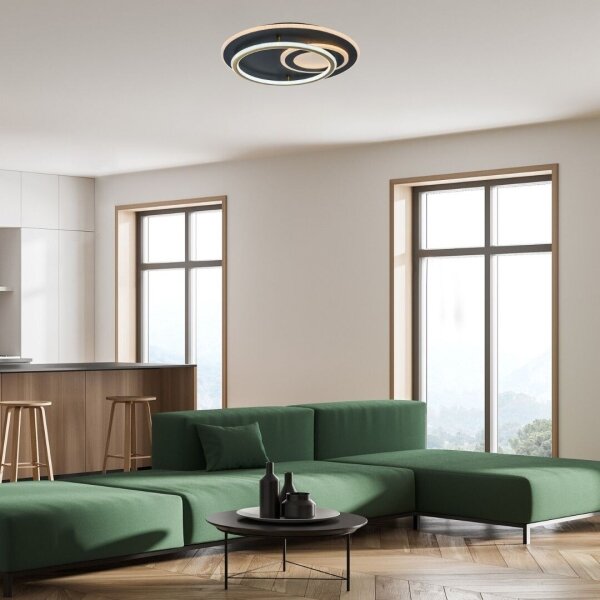 Rabalux 71466 - LED stmievateľné stropné svietidlo BRANTIEL LED/60W/230V 3000-6000K pr. 50 cm + diaľkové ovládanie