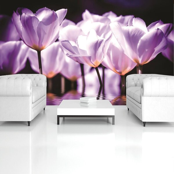 Fototapeta - Kvety - fialový nádych (254x184 cm)