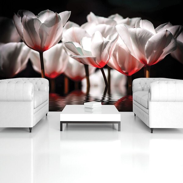 Fototapeta - Kvety - červený nádych (254x184 cm)