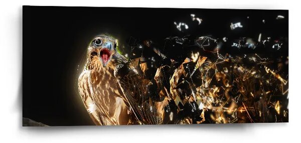 Sablio Obraz Dravec - 110x50 cm