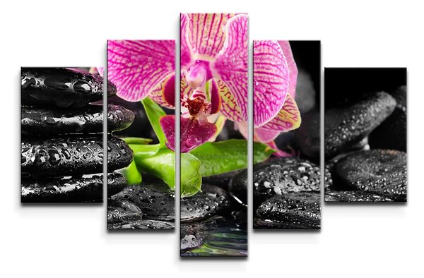 Sablio Obraz - 5-dílný Orchidea na kameňoch - 125x90 cm