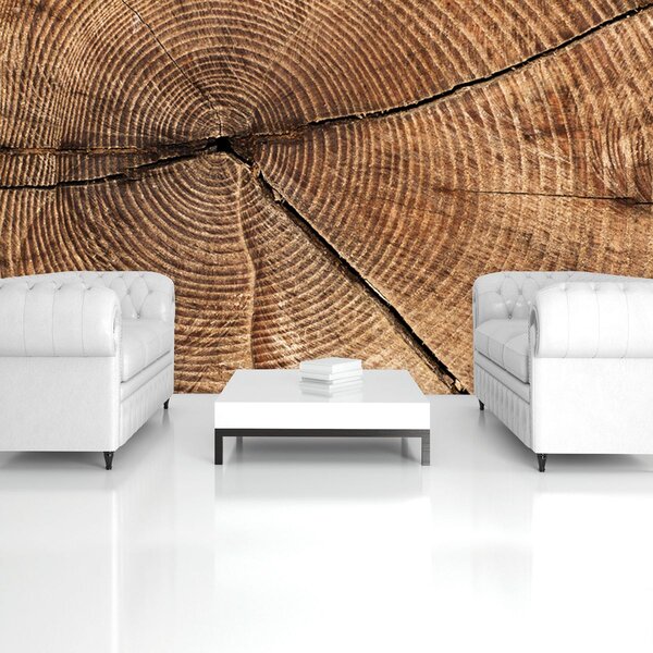 Fototapeta - Prierez kmeňom stromov (152,5x104 cm)