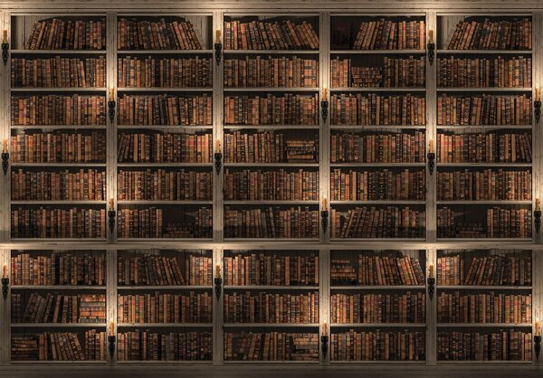 Fototapeta - Knižnica plná kníh (152,5x104 cm)