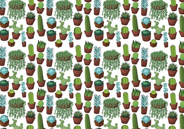 Fototapeta - Kaktus (152,5x104 cm)