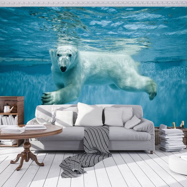 Fototapeta - Ľadový medveď (152,5x104 cm)