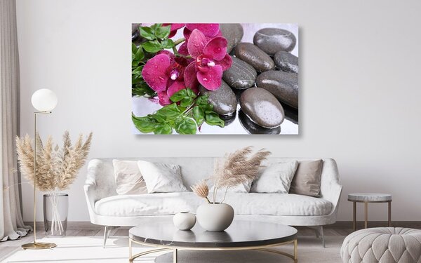 Obraz kvitnúca orchidea a wellness kamene