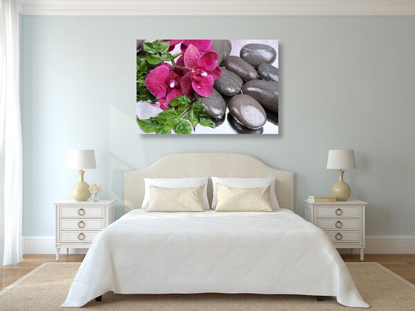 Obraz kvitnúca orchidea a wellness kamene
