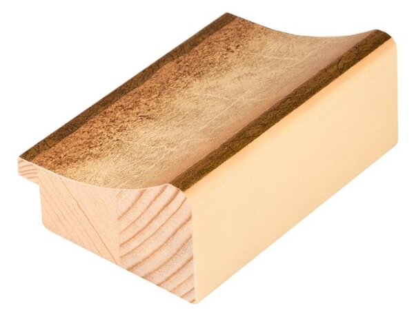 DANTIK - Zrkadlo v rámu, rozmer s rámom 50x100 cm z lišty DOPRODEJMETAL bielozlatá (3023)