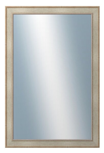 DANTIK - Zrkadlo v rámu, rozmer s rámom 80x160 cm z lišty TOOTH strieborná (2779)