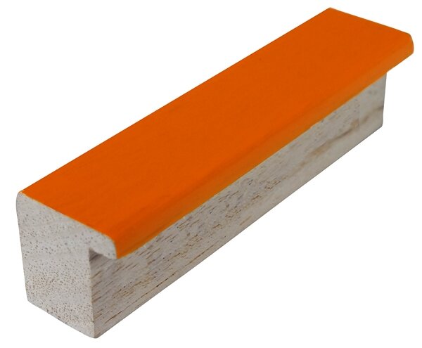 DANTIK rám na obraz 20x30 | PASTELKA oranžová rovná (Sklo Čiré)