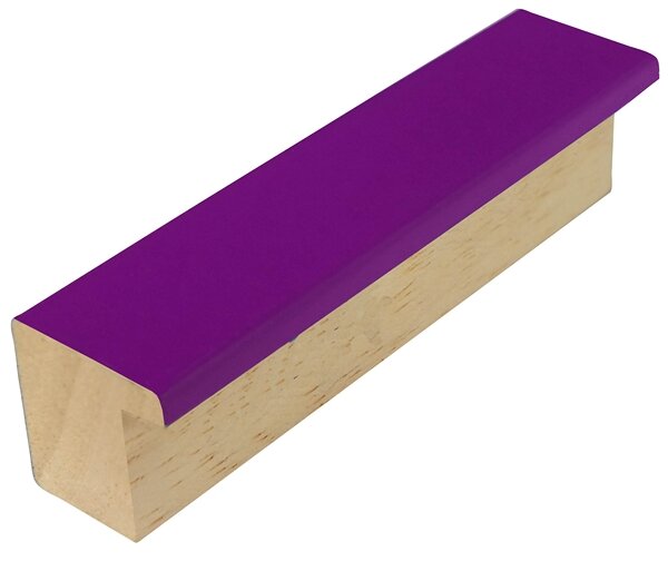 DANTIK rám na obraz 20x30 | PASTELKA fialová rovná (Sklo Čiré)