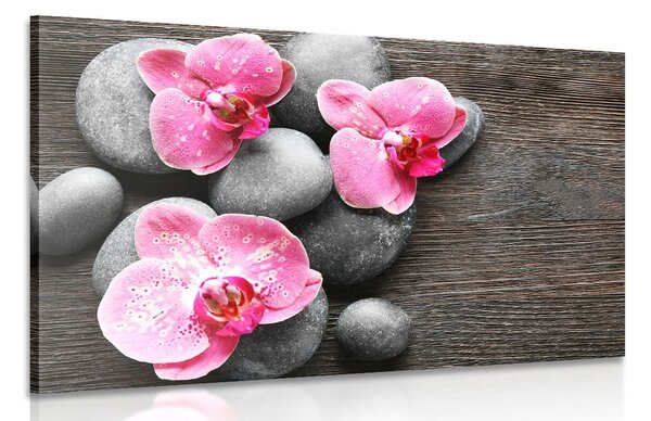 Obraz elegantná kompozícia s kvetmi orchidei